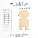 Size reference chart for AMERICAN WATER SPANIELS