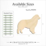Size reference chart for AUSTRALIAN SHEPERD