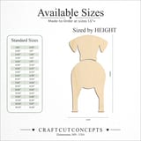 Size reference chart for AZAWAKHS