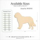 Size reference chart for BARBET