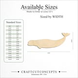 Size reference chart for BELUGA WHALE