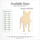 Size reference chart for BLUE HEALER
