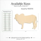 Size reference chart for BRAHMA COW