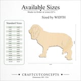 Size reference chart for DOG CAVILER
