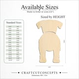 Size reference chart for CHINOOK