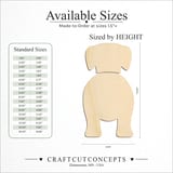 Size reference chart for CHINOOKS