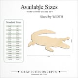 Size reference chart for CROC ALLIGATOR
