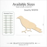Size reference chart for CROW RAVEN
