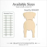 Size reference chart for DOGO ARGENTINO