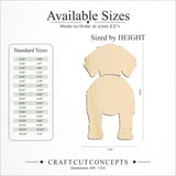Size reference chart for DRENTSCHE PATRIJSHOND