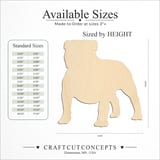 Size reference chart for FRONT VIEW ENGLISH BULLDOG