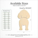 Size reference chart for ENGLISH SPRINGER SPANIEL TWO PIECE BACK