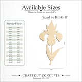Size reference chart for FLOWER IRIS