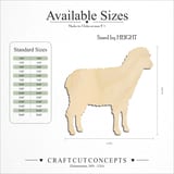Size reference chart