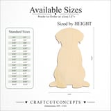 Size reference chart for FRONT FACING LABRADOR PUPPY