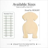 Size reference chart for FRONT VEIW DACHSHOUND DOG