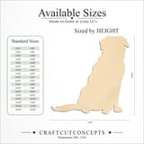 Size reference chart for GOLDEN RETREIVER