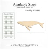 Size reference chart for HUMPBACK WHALE