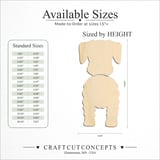 Size reference chart for MINIATURE SCHNAUZER