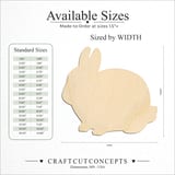 Size reference chart for NETHERLAND DWARF BUNNY