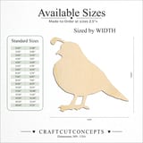 Size reference chart for QUAIL BIRD