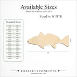 Size reference chart for RED DRUM FISH