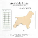 Size reference chart for SHOW DOG ENGLISH SPRINGER SPANIEL