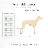 Size reference chart for SHOW DOG GREYHOUND