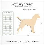 Size reference chart for SHOW DOG LABRADOR