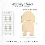 Size reference chart for Irish Water Spaniel