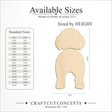 Size reference chart for SPANISH WATER DOG