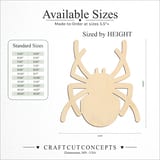 Size reference chart for Spider