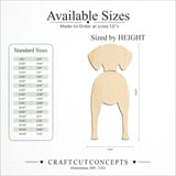 Size reference chart for VIZSLA