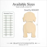 Size reference chart for WIREHAIRED VIZSLA
