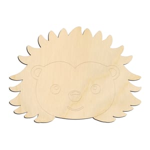 Cute Hedgehog Face