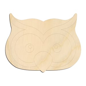 Cute Owl Face