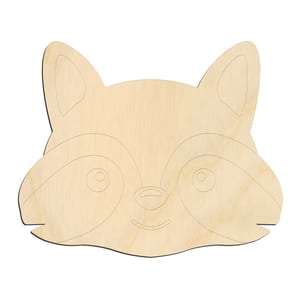 Cute Raccoon Face