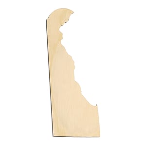 Delaware State Silhouette