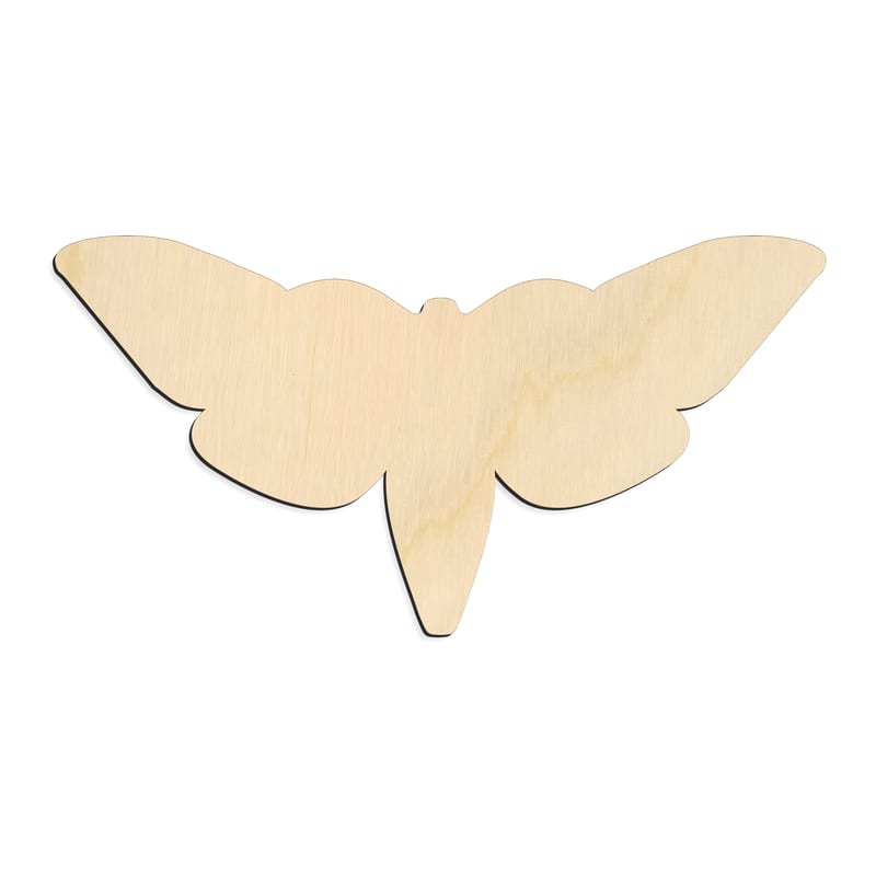 Laser-cut baltic birch silhouette of Broad Wing Moth