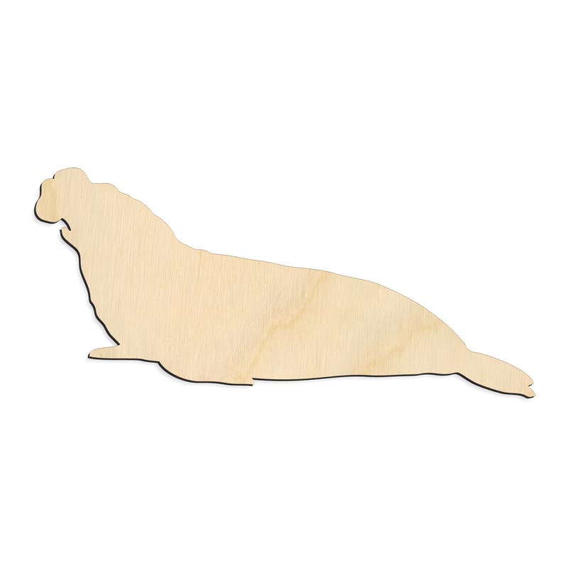 Laser-cut baltic birch silhouette of Elephant Seal Silhouette